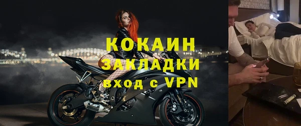 прущие грибы Богородск