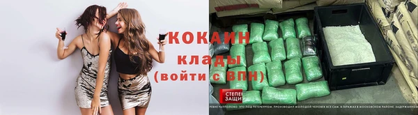 прущие грибы Богородск
