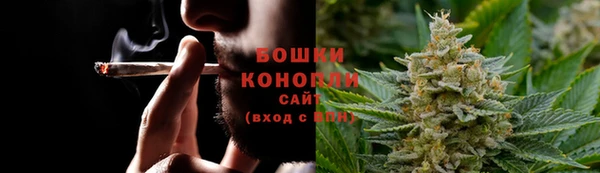 соль ск Бородино