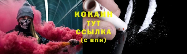 соль ск Бородино