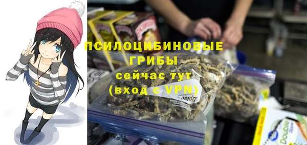 крисы Богородицк