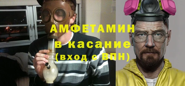 сатива Беломорск