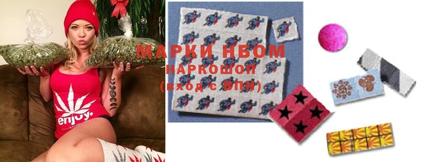 прущие грибы Богородск