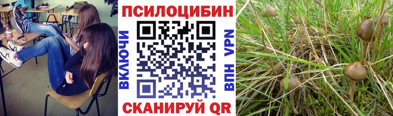 OMG   Видное  Галлюциногенные грибы мухоморы 