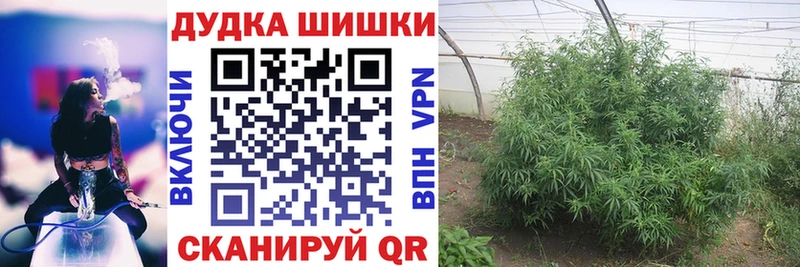 Конопля Amnesia Видное